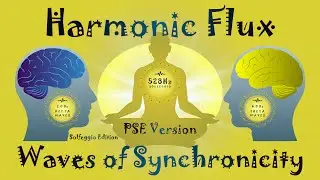 Harmonic Flux: Waves of Synchronicity. Resonance at 528Hz (PSE Version)