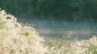 View of a Misty Lake