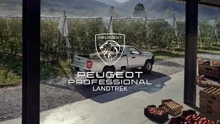 The Peugeot Lantrek single cab