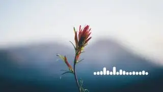 Tyzo Bloom - Ukiyo (Japanese EDM)