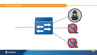 Using Private VLANs