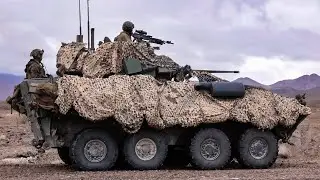 Marines in Action: Epic Platoon Attacks at ITX 1-25 | Realistic Combat Training at Twentynine Palms