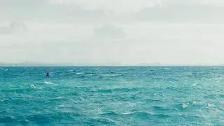 A Volunteer Day on Motuihe Island in New Zealand | Cinematic | Full Version