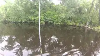 Wisconsin River Small Mouth Bass Fishing