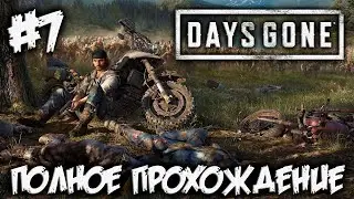 DAYS GONE - полное прохождение #7