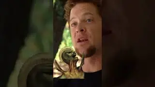&ldquo;St. Newsted&rdquo; #metallica #jasonnewsted #jameshetfield #larsulrich #kirkhammett #philtowle