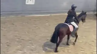 Louise bloomer training 