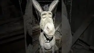 Он вошёл в заброшенный дом, и что-то показалось ему неладным 😱