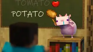 TOMATO & POTATO