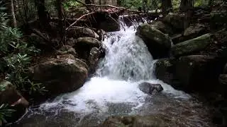 Exploring Gee Creek Wilderness, TN