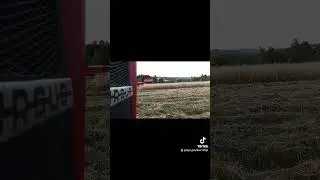 ŻNIWA 2024 #żniwa #pszenica #masseyferguson #ursusc355 #polskawieś #agriculture