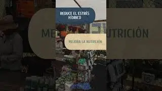 El poder de retener agua y liberar potencial | 200XC🌱💧