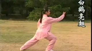 Yang style 16 form Tai Chi tutorial