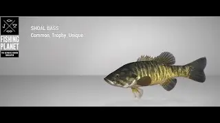 Fishing Planet - Blue Crab Island - Unique - Shoal Bass - Spin