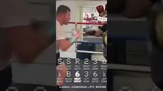 Canelo Alvarez - NEW!!! Insane 8 Punch Combo !!!