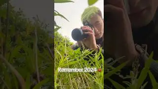 Some of my favourite pics and memories from the 2024 bug hunting season! #bugs #2025 #newyear #macro