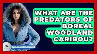 What Are The Predators Of Boreal Woodland Caribou? - Polar Regions Uncovered