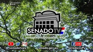 Comisión Permanente del Congreso Nacional - 20-12-2022