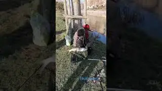 Urban Pike Fishing(Savage Gear Lure)