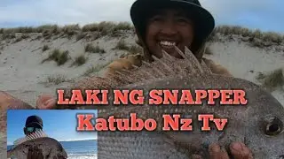 Catch big snapper #katubonztv