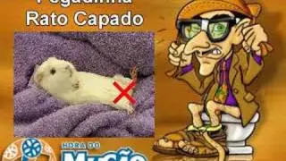 Mucao.com.br - Pegadinha - Rato Capado