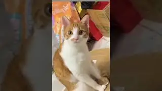 Лучшие шутки про ржавчину 🤣 #юмор #ржавчина