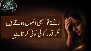 Relationships Are Precious | But Only Special People Truly Value Them |❤️ Heart Touching Reality