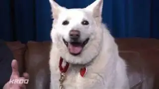 KROQ To The Rescue: Rescue From The Hart