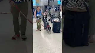 This dog was shocked to see his owner 👏