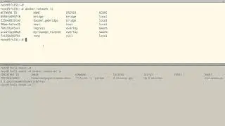 Multi Host Networking with Docker