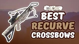 Лучшие арбалеты с изогнутыми стволами 🏹: обзор лучших вариантов | Big Game Logic