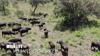 Newburg Lodge - An Authentic Bushveld Experience