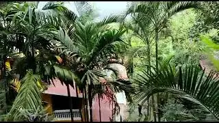 Best Resort with swimming pool, Play garden & Party Lawn @Mulshi, Pune - Malhar Mount Villa