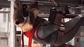 Rocket funny 😜 sees in marvel #editor #rocket #marvel