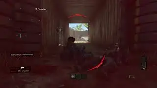 BO4 FFA customs???