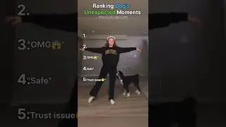 RANKING DOGS UNEXPECTED 😮 MOMENTS #1 IS VERY FUNNY