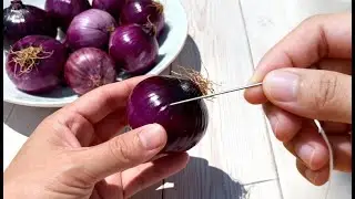 У вас есть луковица и иголка? 😱 Этот простой и вкусный секретный трюк неизвестен миллионам.