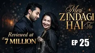 Meri Zindagi Hai Tu Episode 25 | Review | #merizindagihaitu #haniaaamir #bilalabbas
