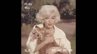 aesthetic video; lady cigarette and city; retro vintage edit; fmv; gimme! gimme! gimme!; tiktok song