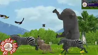 wild animals story in english,which safari is best in girnational park, jangal book, animals safari