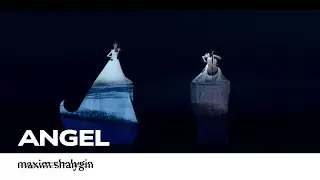 Maxim Shalygin 