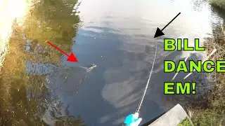 Sometimes you have to BILL DANCE a LAZY FISH.  FISHING FOR CRAPPIE and BASS.  The Fall Bite is near.