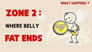 Indoor Zone 2: 6 Science-Backed Ways to Burn Visceral Fat Without Going Outside