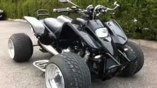 Custom ATV