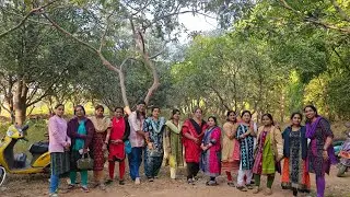 First picnic of 2026 with my office friends 🤩 #minivlog #food #fun #viral #picnic 