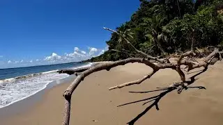 Right Here - Salybia Beach, Saline Bay