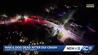 Bonita Springs woman faces long recovery after DUI crash kills husband and dog