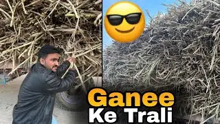 Ganee ke trali sa nekla ganee😂💕