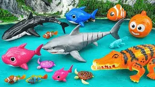toy asmr 🦈 RC Baby Shark & Lighting Fish & Ocean Animal & RC Aquarium | Review Toys