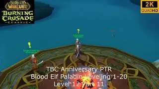 WoW TBC Anniversary PTR | Blood Elf Paladin Leveling | Level 12 Part 11 | No Commentary 2K